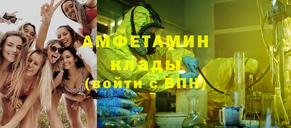 ГАЛЛЮЦИНОГЕННЫЕ ГРИБЫ Абаза