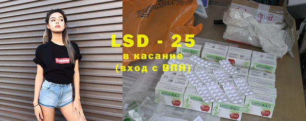 ГАЛЛЮЦИНОГЕННЫЕ ГРИБЫ Абаза
