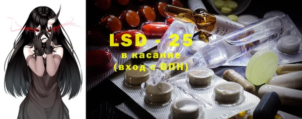 ГАЛЛЮЦИНОГЕННЫЕ ГРИБЫ Абаза