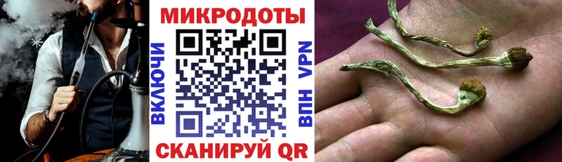 Псилоцибиновые грибы Psilocybine cubensis Торжок